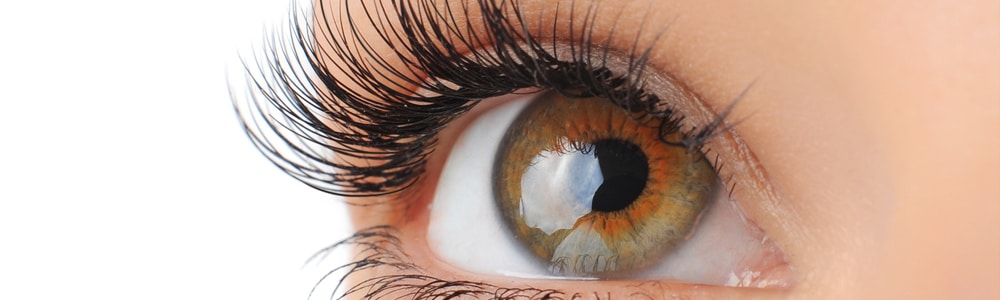 Is lash lifting schadelijk Melissa Beauty