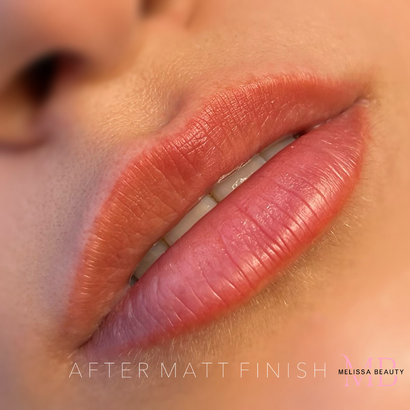 PMU Lip – Burcu – After Matt Finish
